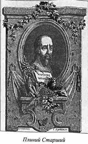 Плиний Старший