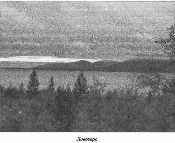 Ловозера